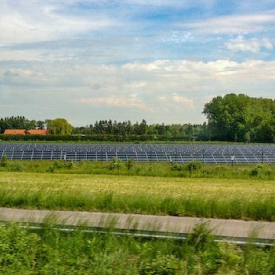 solar panels being used to power a farm