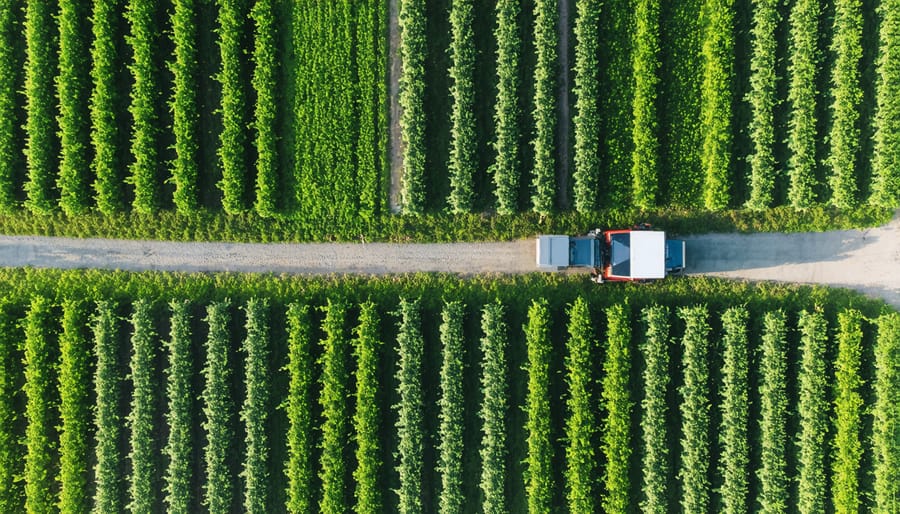 Birds-eye view of neighboring organic farms showing collaborative infrastructure and shared resources